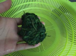 将艾草稍放凉挤出水分，目的是为了煮出苦水