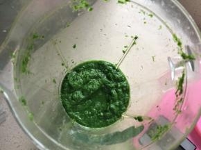 将艾草和100克热水一起倒入搅拌机搅拌至蓉即可