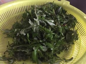 新鲜艾草洗干净沥干水分