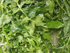 荠菜花洗干净，头留着