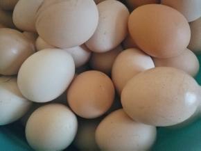 鸡蛋拿出来洗干净