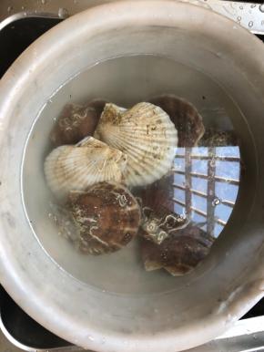 8个贝壳买回来用淡盐水浸泡一会，用刷子把贝壳刷干净。