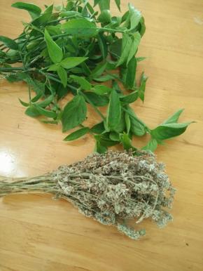 这就是染色草，具体叫什么，问了卖的阿婆也说不出来，哈哈！绿色的是红色的染色草，晒干的花花是黄色的，闻起来很香。