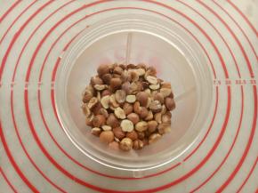 把熟榛子仁放入料理机打碎(越细越好)。