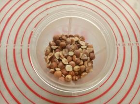 把熟榛子仁放入料理机打碎(越细越好)。