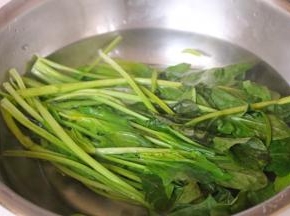 菠菜一把洗净，用热水烫一烫