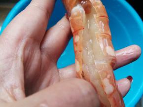 背部剪开，去虾线