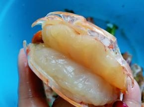 用刀把背部切开，不要切到底