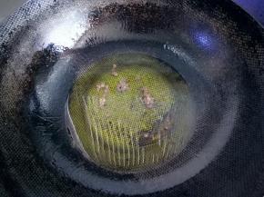 放入花椒粒，爆香后捞出不要