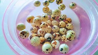 鹌鹑蛋用清水寖泡一会，清洗干净。