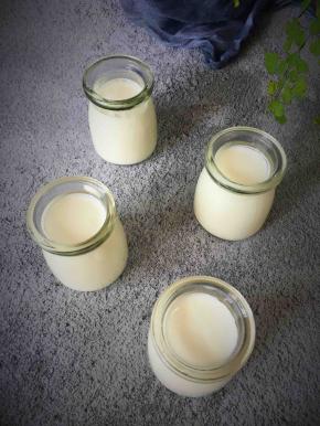 8小时后酸奶成品