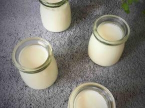 8小时后酸奶成品