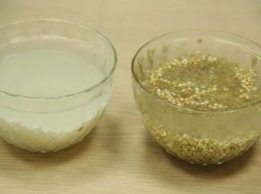 荞麦、糯米洗净后浸泡3小时，香菇浸泡1小时，待备用。