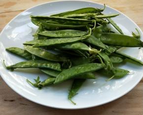 荷兰豆洗净，撕去两边长丝。