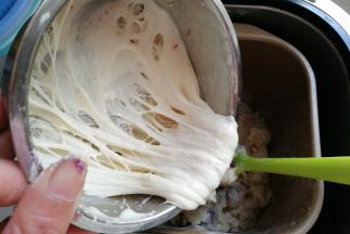 把发酵好的波兰酵头放入面包机桶内，开启揉面键开始揉面