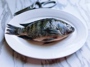 买回来的鱼，今天老板不给杀鱼，要自己动手啦！