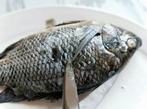 首先将鱼鳞去掉。