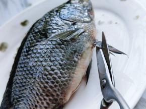 鱼鳞去完后再将鱼鳃剪掉。