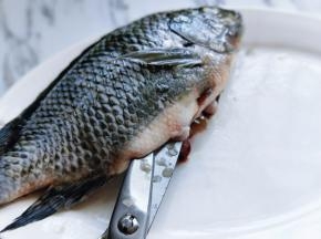 再把鱼肚子剪开，将内脏取出。