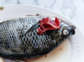 鱼鳃一定要去干净，用冷水反复清洗，将鱼肚子里一定要洗干净。