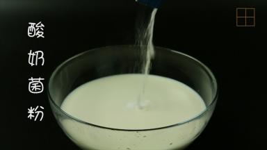 加入酸奶菌粉。