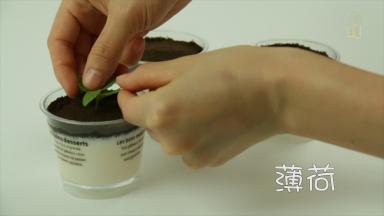 最后放入薄荷点缀一下。