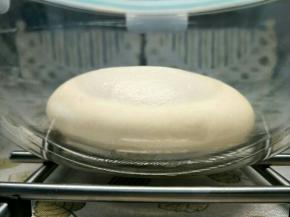 1.所有材料除黄油外，揉到出现大片的膜，加入室温软化的黄油，到可以拉出结实的薄膜。
2.温暖环境，进行发酵。