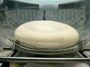 1.所有材料除黄油外，揉到出现大片的膜，加入室温软化的黄油，到可以拉出结实的薄膜。
2.温暖环境，进行发酵。