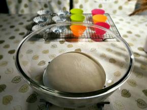 大约2倍大，后即可，之后对面团进行排气。