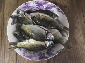 将腌制好的小喜头，冲洗去血污，沥水备用