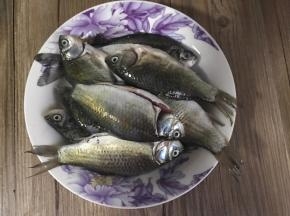将腌制好的小喜头，冲洗去血污，沥水备用