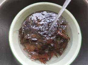 小龙虾放入水中冲洗。