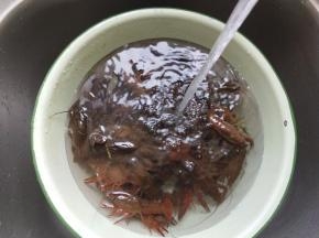 小龙虾放入水中冲洗。