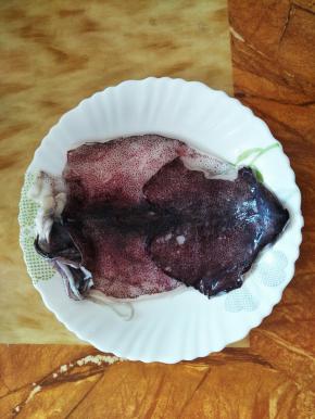 新鲜的鱿鱼一个