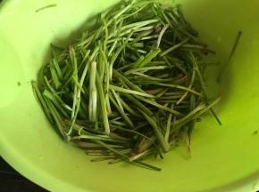 菠菜梗摘洗干净