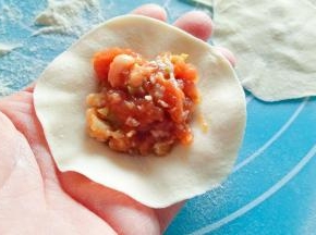 取一个饺子皮中间放馅。