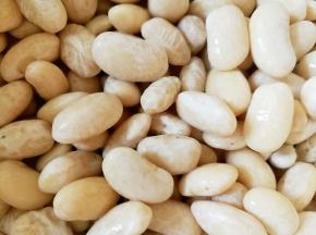 泡好的芸豆变得很大