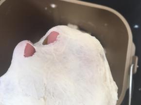 揉好的面团切下一小块可以撑出膜，破口处呈锯齿状