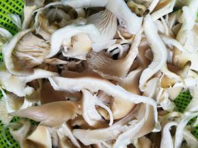 平菇洗干净撕开备用