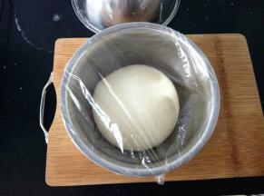 放盆里，盖保鲜膜放在温暖处进行第一次发酵。