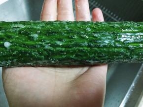 黄瓜用粗盐搓洗表皮，再用清水泡洗