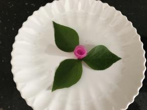 放在绿叶子中间