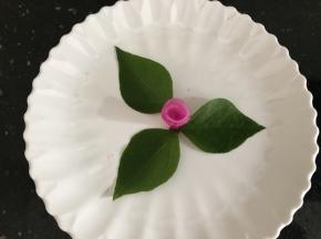 放在绿叶子中间