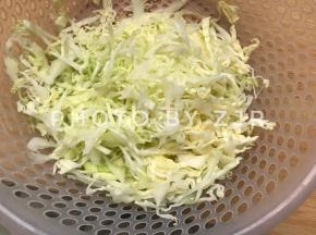 椰菜洗干净切丝备用