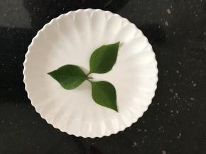 盘子里铺上绿色叶子装饰