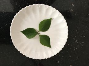 盘子里铺上绿色叶子装饰