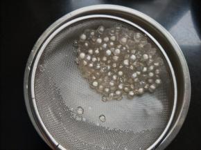 煮大概15--20分钟后，西米中间只有小白点的时候，捞出放入凉水中。