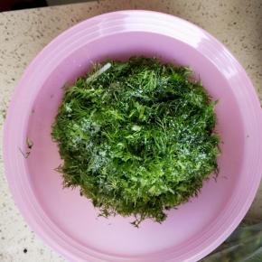 茼蒿切碎放入少许盐，稍微腌制一下，攥干水分，要不一会儿放在肉里会出好多水，影响口感！