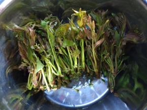 香椿洗净备用。