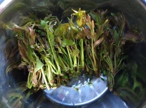 香椿洗净备用。